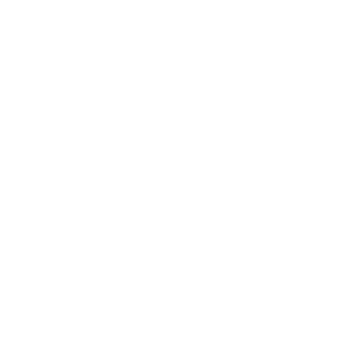 feature-item-4