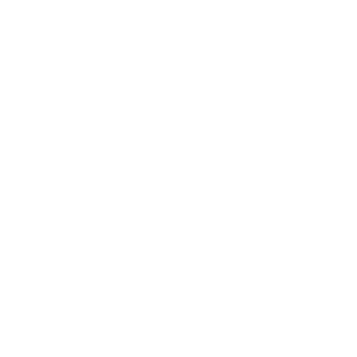 feature-item-1