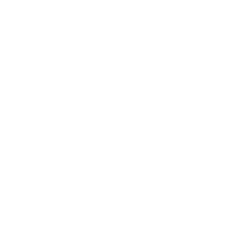 feature-item-3